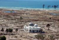 Pakar Geologi: Ambon akan Dilanda Tsunami Seperti Tahun 2004 di Aceh